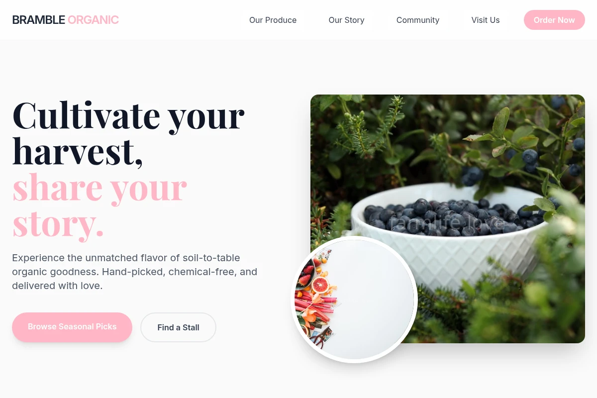Bramble Organic Food